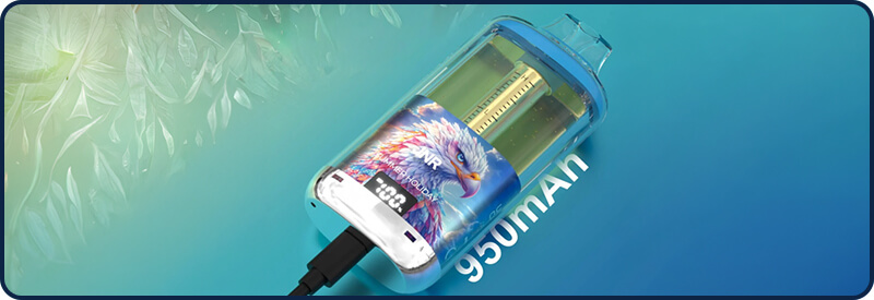 La batterie de 950mAh int&eacute;gr&eacute;e � la Falcon GEM+