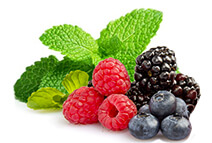 guide e-liquide saveur menthe fruitée