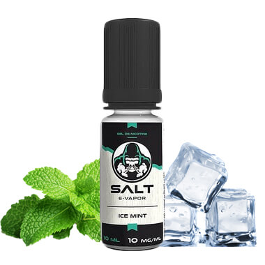 Ice Mint - Salt E-Vapor 
