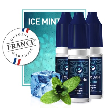 Ice Mint - e-liquide-fr