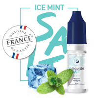 Ice Mint Salt - E-LIQUIDE-FR