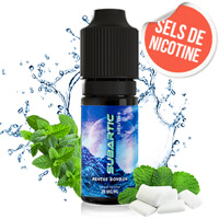Subartic Sels de Nicotine - Cyber Steam