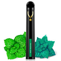 Puff V800 Mint Menthol - Dinner Lady