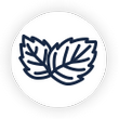 Guide-eliquide-arôme