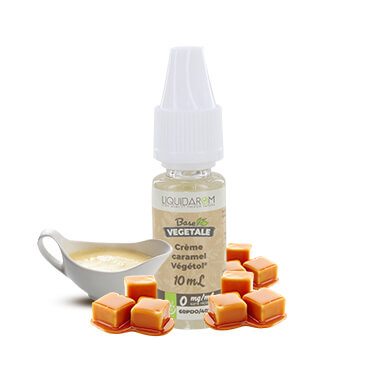 Crème caramel Végétol® - Base Végétale