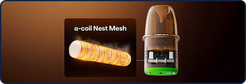 L'alpha-Nest Mesh Coil de la technologie LTI du Artio 2
