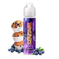Sentinel 50ml - Cyber Steam