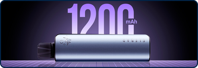 La batterie de 1200mAh intégrée  la Elfa Master