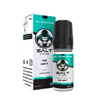 Ice Mint - Salt E-Vapor 