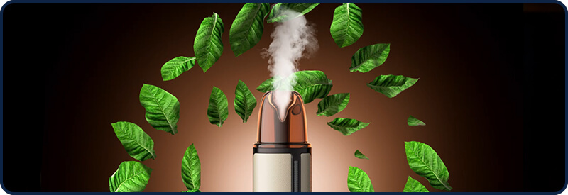 L'embout du Artio 2 OXVA entour&eacute; de feuilles de tabac