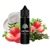 Strawbacco 50ml - Viktor