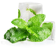 guide e-liquide saveur menthe fraîche