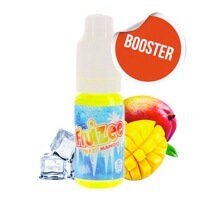 Booster Crazy Mango - Fruizee